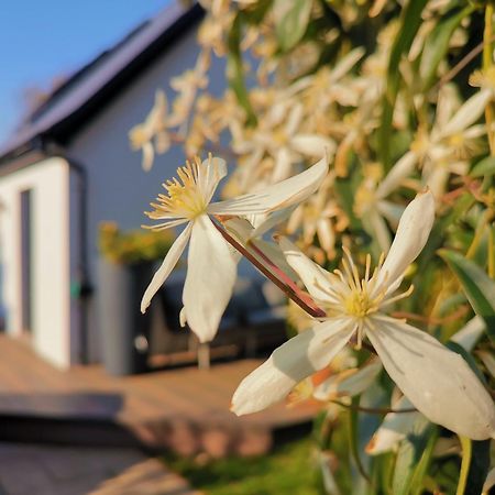 Hastings Casita, 'Little House' Self Contained Garden Lodge, Close To Town And Seafront Екстериор снимка