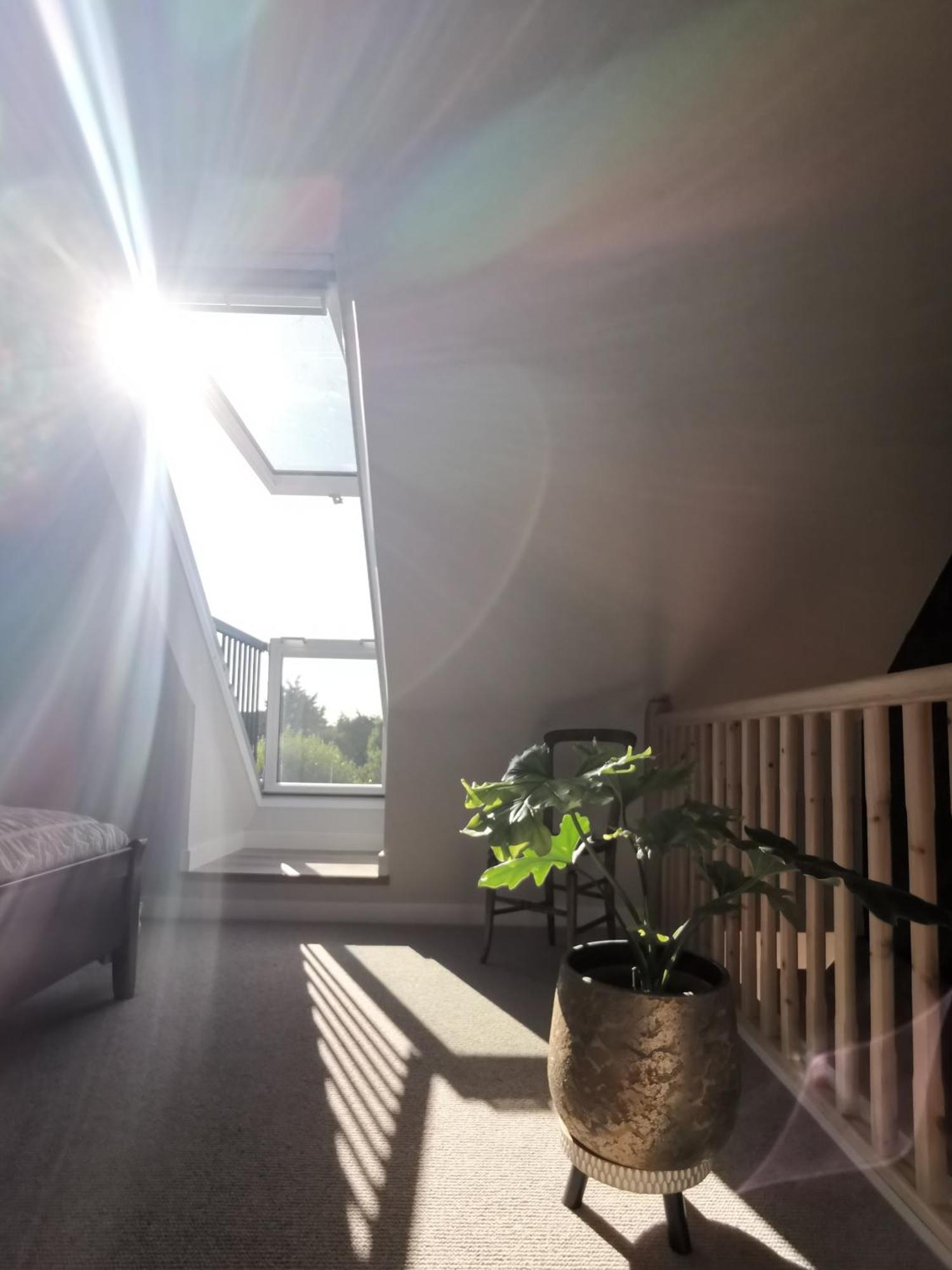 Hastings Casita, 'Little House' Self Contained Garden Lodge, Close To Town And Seafront Екстериор снимка