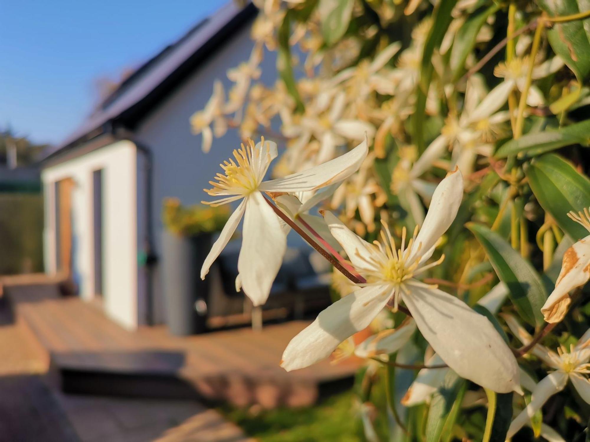 Hastings Casita, 'Little House' Self Contained Garden Lodge, Close To Town And Seafront Екстериор снимка