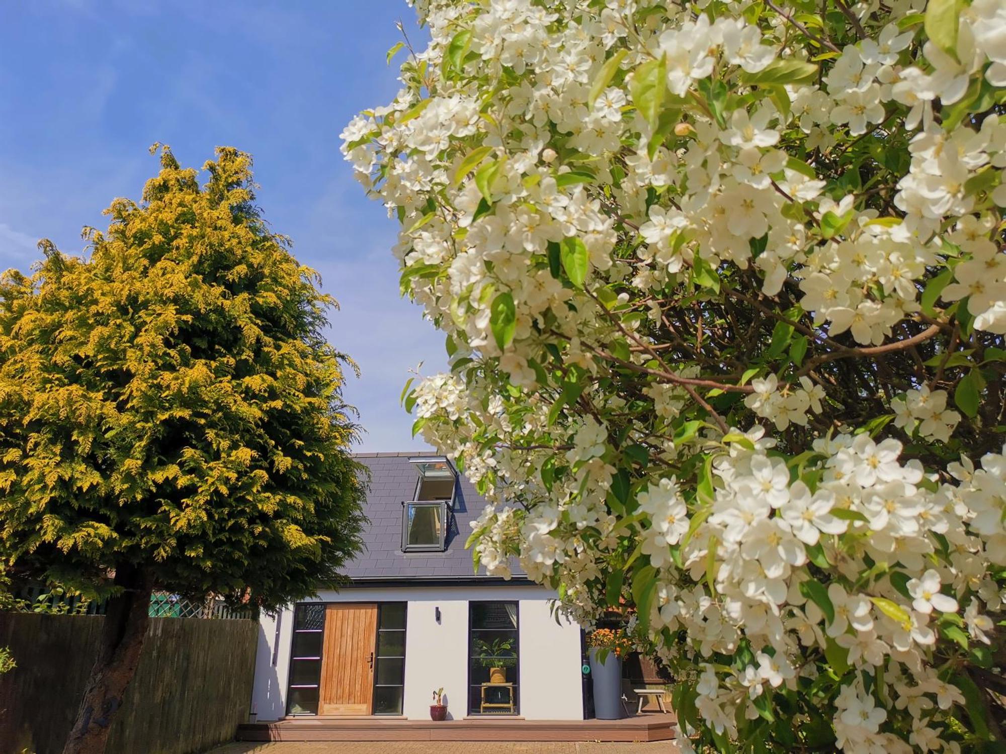 Hastings Casita, 'Little House' Self Contained Garden Lodge, Close To Town And Seafront Екстериор снимка